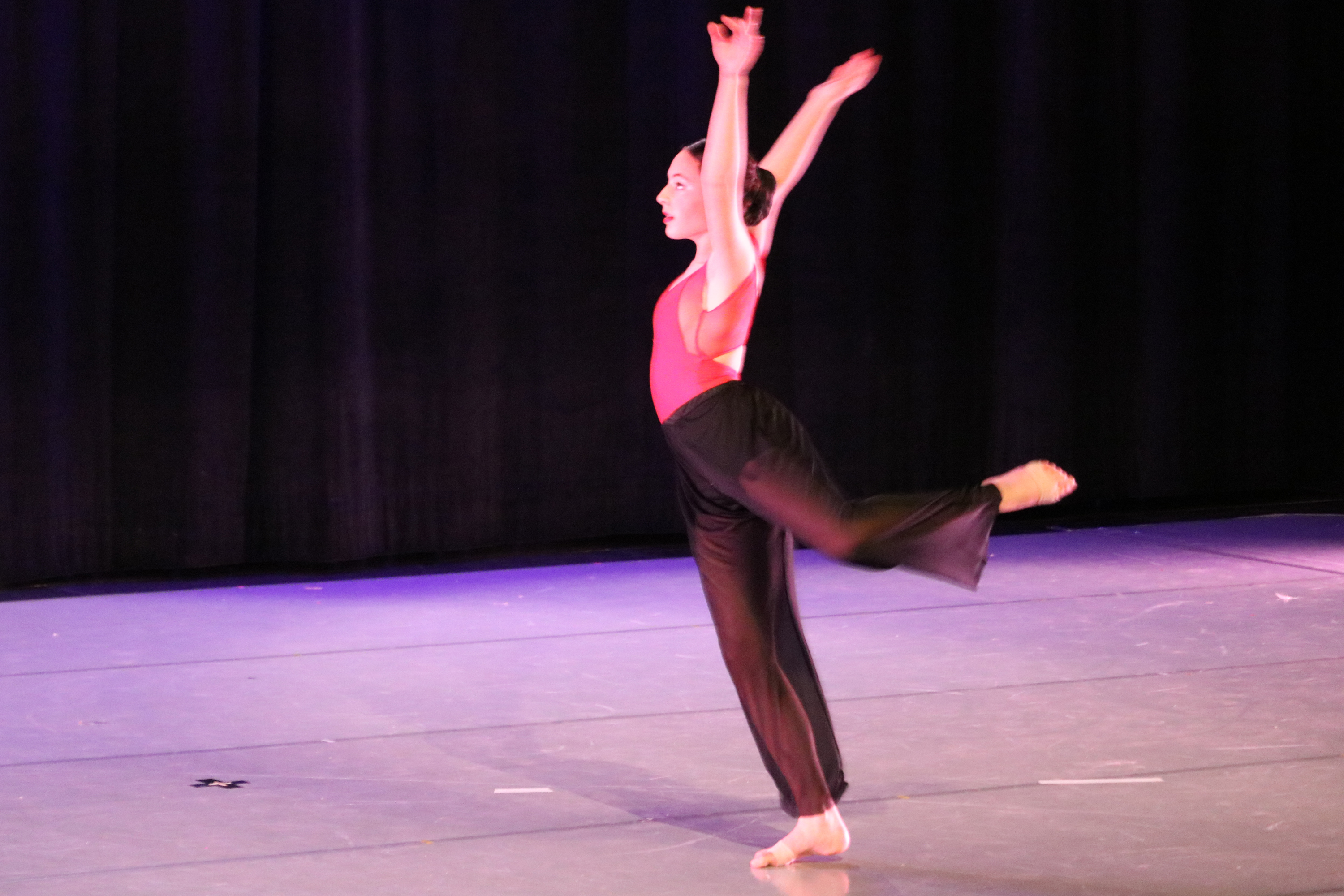 Gala 2024   Solo 10